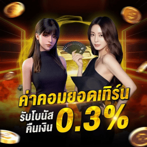 ค่าคอมยอดเทิร์น 0.3%